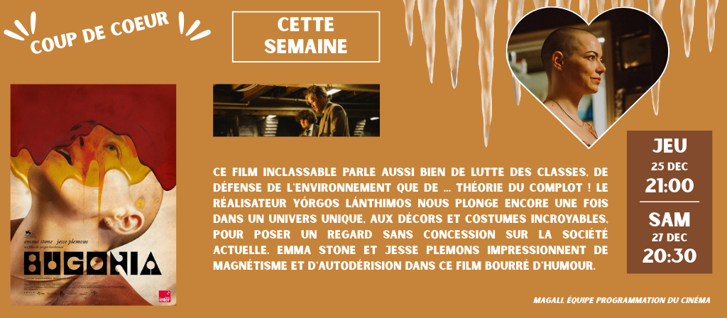 actualité coup de coeur 24 dec